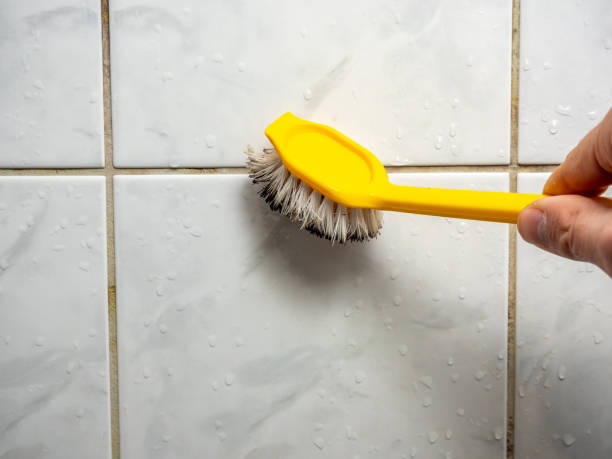 Trusted Fayette, IA Mold Removal Experts