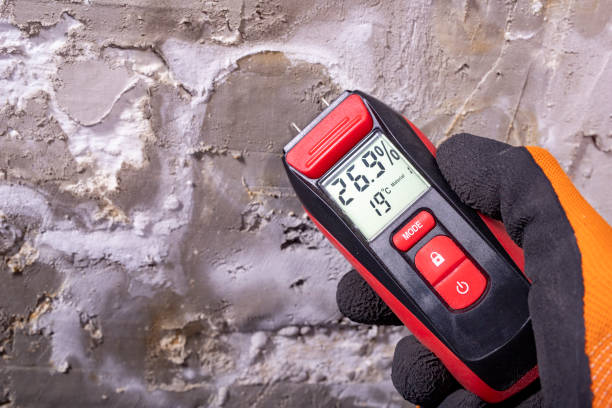 Best Certified Mold Removal  in Fayette, IA
