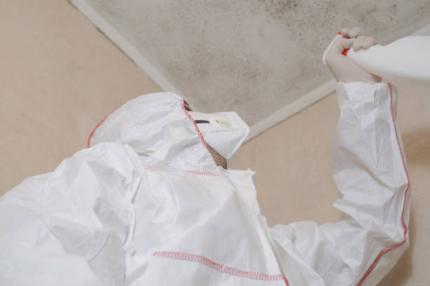 Best Mold Remediation Experts  in Fayette, IA